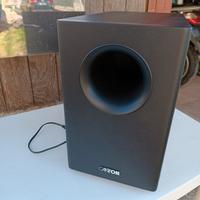 Powered Subwoofer Canton 65cx