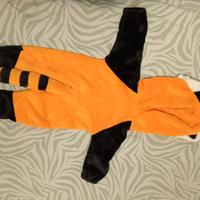 vestito carnevale da procione 