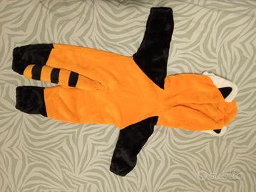 vestito carnevale da procione 