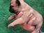 Immagine 4