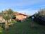 Immagine 8