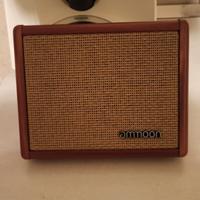 amplificatore 15 watt chitarra acustica 