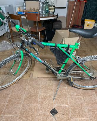 Bici bianchi ragno mountain bike