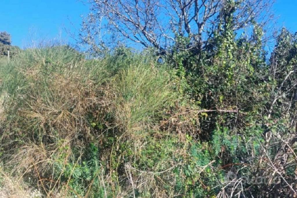 Immobile in asta di 1180 m² a Pedara - Vista 4