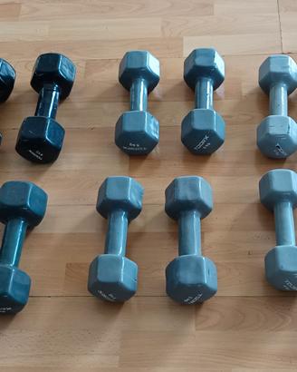 Pesetti 2 coppie da 4, 5, 6 kg