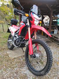 HONDA CRF 300 L del 2024