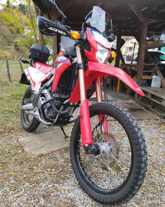 HONDA CRF 300 L del 2024