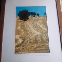 Quadro acquerello