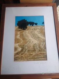 Quadro acquerello