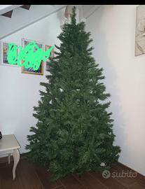Albero 2,40 mt