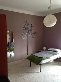 Stanza singola - centro cassino