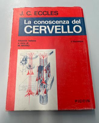 La conoscenza del cervello J.C.Eccles