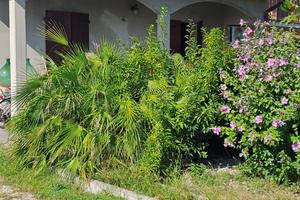 Villetta di testa con giardino