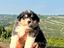 Immagine 1