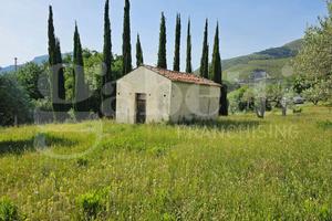 Terreno Agricolo Praia a Mare [203VRG]