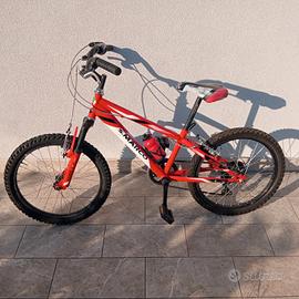 Bicicletta MTB  bambino