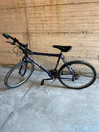 Bicicletta pronta all’uso!