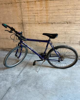 Bicicletta pronta all’uso!