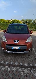 Peugeot Tepee 1.6 HDi 110cv