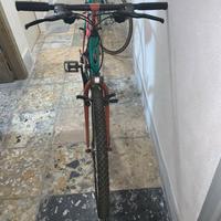 Bicicletta