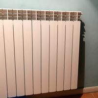 termosifone acciaio 10 elementi