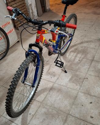PERMUTO  MTB bottecchia ruote 26 con bici da donna