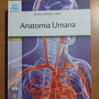 Anatomia Umana - Martini VII Ediz. Edises ( Nuovo)