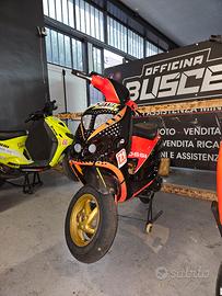 Zip 70cc da pista a regolamento trofei malossi