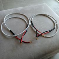 WIREWORLD luna 8 cavo di potenza diffusori
