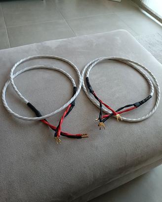 WIREWORLD luna 8 cavo di potenza diffusori