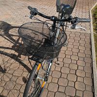 bicicletta da uomo