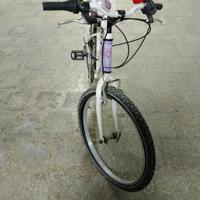 bicicletta lombardo 24