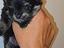 Immagine 6