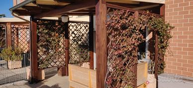 gazebo