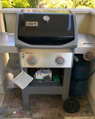 Barbecue weber spirit 2 fuochi