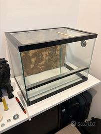 teche + geco leopardino