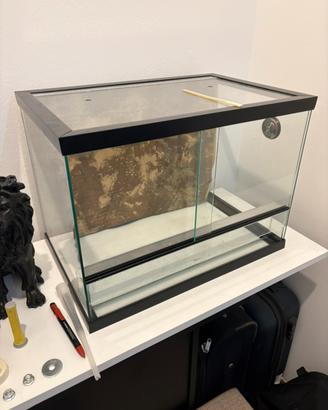 teche + geco leopardino