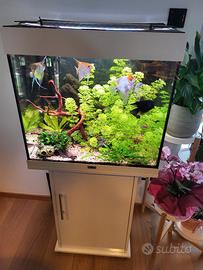 Acquario completo 120L (pesci,mobile,accessori)