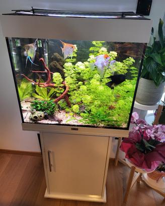 Acquario completo 120L (pesci,mobile,accessori)