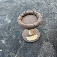 Tiragraffi gatto
