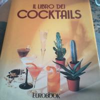 Il libro dei cocktails di JB. B. Leroy