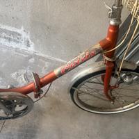 Bicicletta cinzia pieghevole