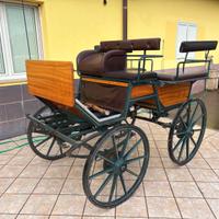 Carrozza Wagonette (13)