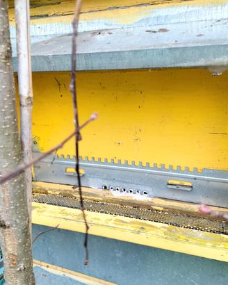 Arnie diversi colori