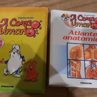 Corpo Umano Per Bambini