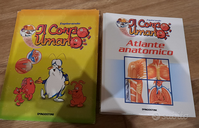 Corpo Umano Per Bambini