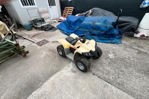 Quad dinli