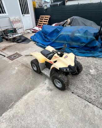 Quad dinli