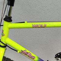 Mountain-bike Le Run
