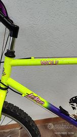 Mountain-bike Le Run
